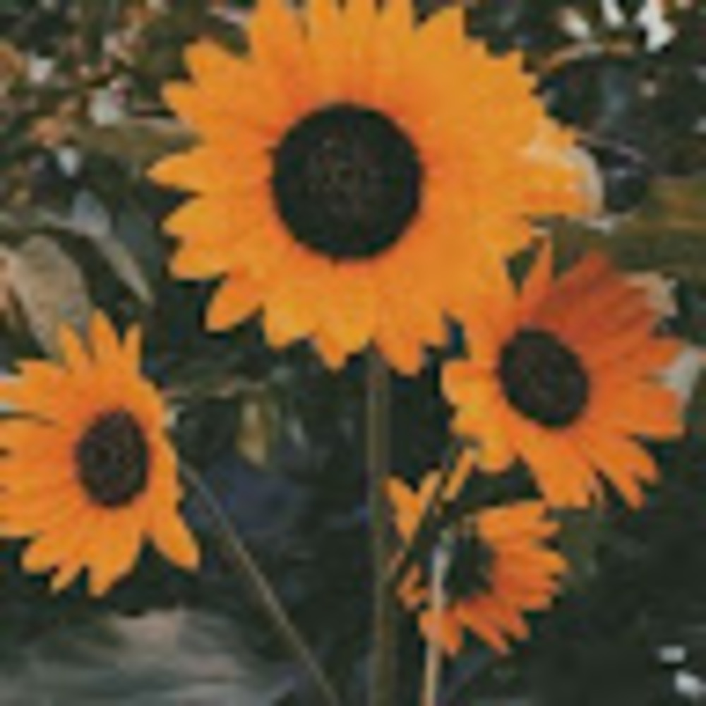 Meet your Posher, Jazreal